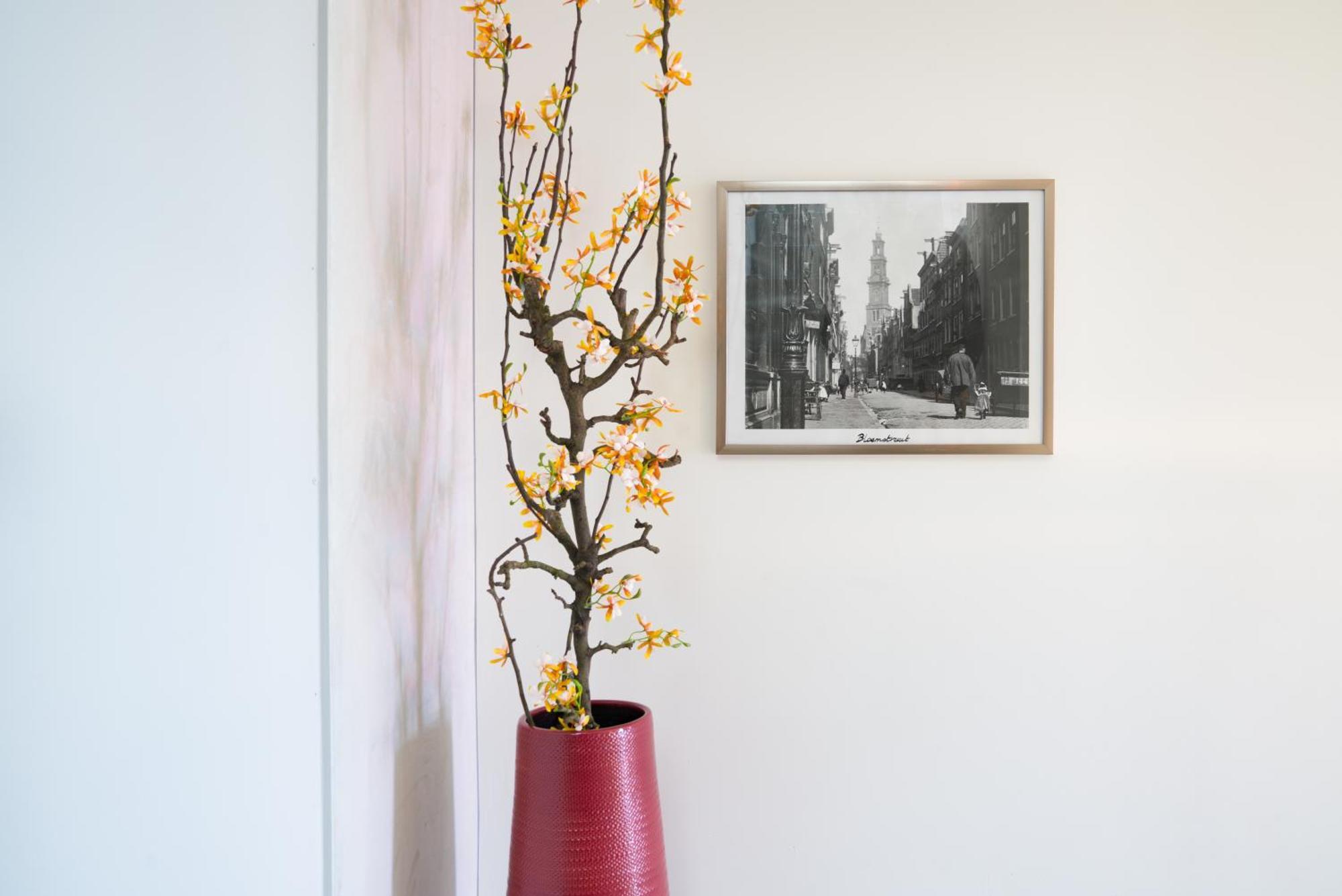 Huis Met De Krul Amsterdam Dış mekan fotoğraf